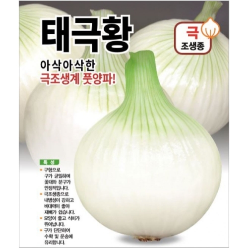 아시아종묘 양파씨앗종자 태극황(100g)