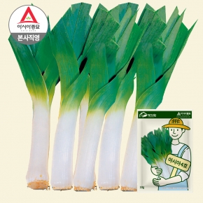 아시아종묘 씨앗 종자 리이크 아시아4호 10g