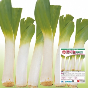 아시아종묘 씨앗 리이크 10g