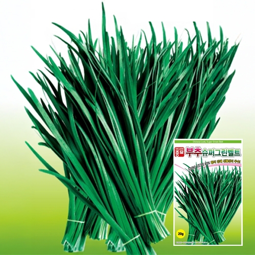 부추종자씨앗 슈퍼그린벨트 부추(450g)