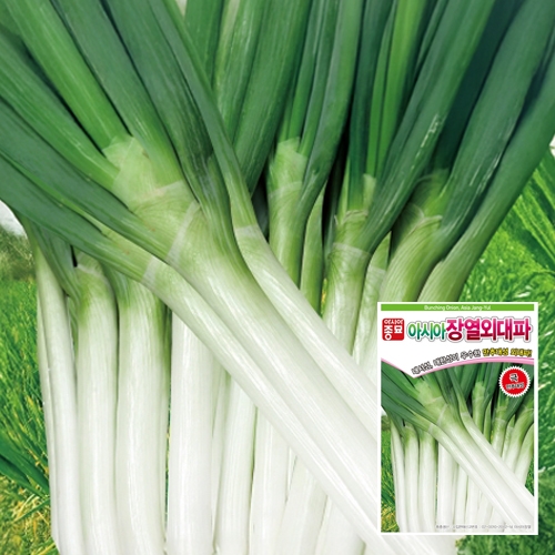 파종자씨앗 아시아장열(80g,400g)