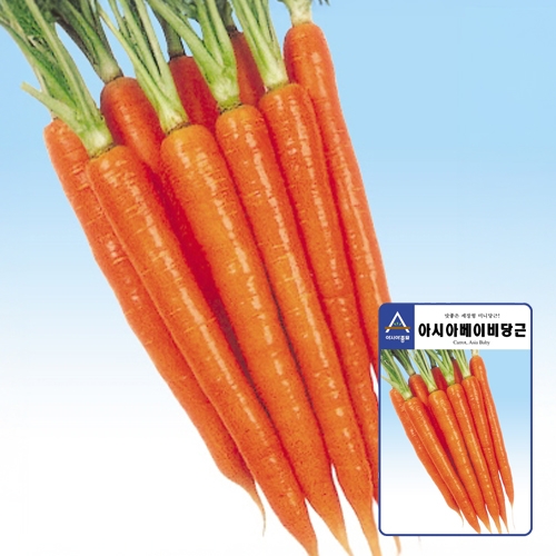 미니당근종자씨앗 아시아베이비 1g