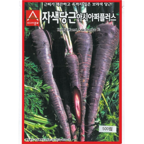 아시아종묘 자색당근종자씨앗 안토시아닌이 다량 함유된 퍼플러스(500립)