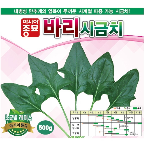 (아시아종묘/시금치종자씨앗) 바리 시금치(500g) 교배종