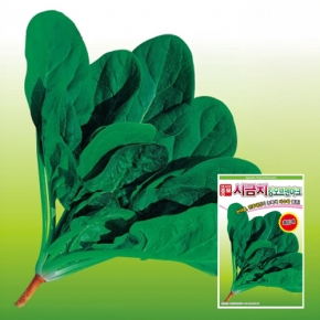 아시아종묘 시금치종자씨앗 킹오브덴마크 흑킹(25g,25gx3,500g)