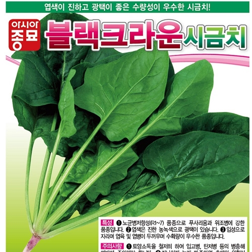 (아시아종묘/시금치종자씨앗) 블랙크라운 시금치(400g)