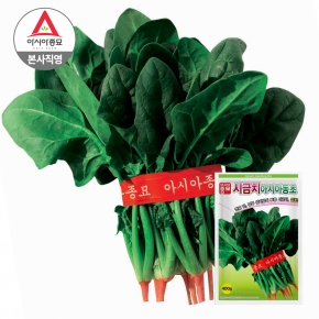 아시아종묘/시금치종자씨앗 아시아동초 시금치(20g,20gx3,400g) <월동시금치>