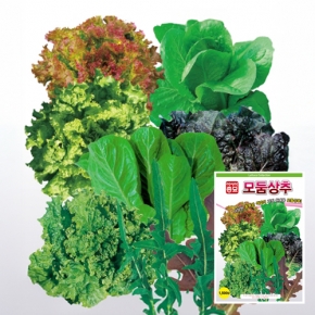 상추종자씨앗 모둠상추(1500립)