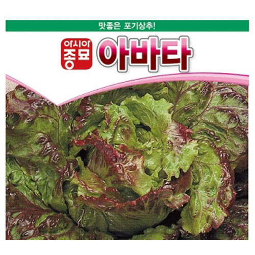 아시아종묘/상추종자씨앗 아바타 상추(1000립,1000립x3,50g)