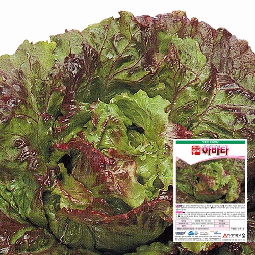 아시아종묘/상추종자씨앗 아바타 상추(1000립,1000립x3,50g)