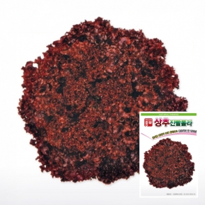 (상추종자씨앗) 진빨롤라 상추(6,000립,6만립) 전문농가용