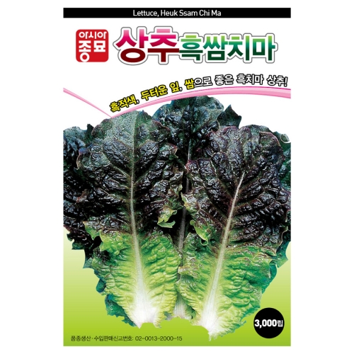 (상추종자씨앗) 흑쌈치마상추(3000립,6만립)