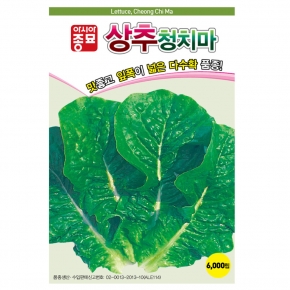 아시아종묘 상추종자씨앗 청치마(3000립,6000립,6만립)