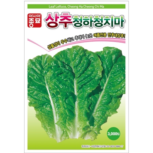 아시아종묘 상추종자씨앗 청하청치마(3,000립,6만립)