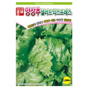 아시아종묘 양상추종자씨앗 샐러드익스프레스 1500립,1500립x3,6000립,6000립x3 (LMV free)