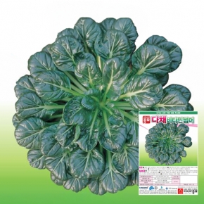 아시아종묘 다채씨앗종자 비타민썸머(120g,600g)