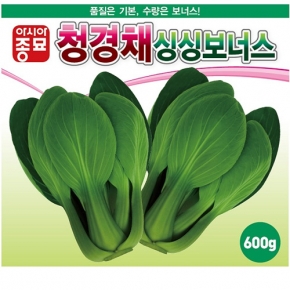 (청경채종자씨앗) 청경채-싱싱보너스(600g)