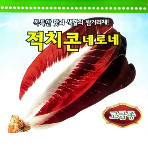 (치커리종자씨앗) 아시아통콘-네로네(10g,50g) 전문농가용