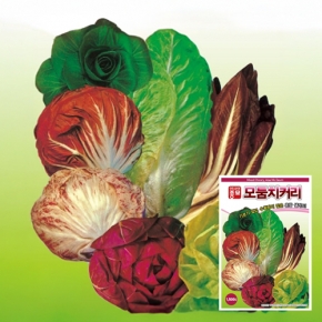 (치커리종자씨앗) 아시아모둠치커리(1500립)