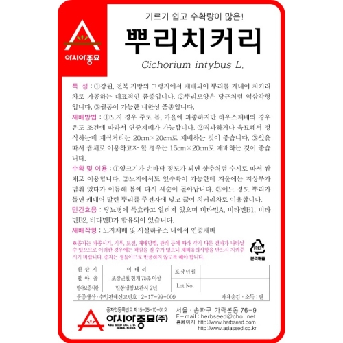 아시아종묘 치커리종자씨앗 뿌리치커리(3000립,450g)