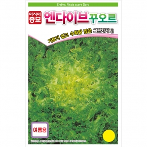 아시아종묘 치커리종자씨앗 엔다이브 꾸오르(1500립,70g)