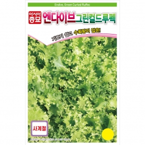 (치커리종자씨앗) 엔다이브-그린컬드루펙(1500립, 70g)