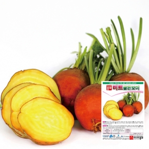 (비트종자씨앗) 골든보이 비트(100립/ 100립x3 / 5000립)