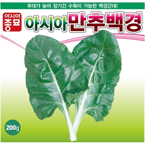 (근대씨앗종자) 아시아만추백경근대, (백근대) (200g)