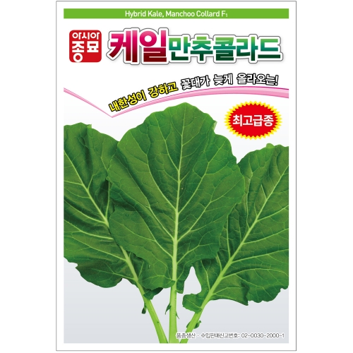 (케일종자씨앗) 만추콜라드(10g,100g)