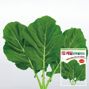 아시아종묘 케일종자씨앗 만추콜라드(10g,100g)