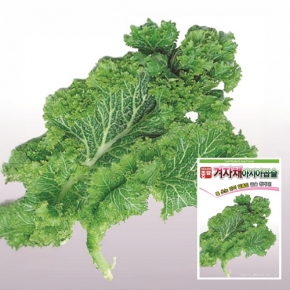 아시아종묘 겨자종자씨앗 청곱슬겨자(2000립,120g)