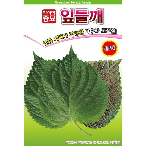 (아시아종묘/쌈씨앗종자) 아시아잎들깨(10g,500g)