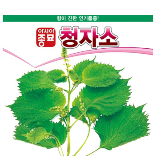 아시아종묘/쌈종자 청자소(3g,3gx3,100g)