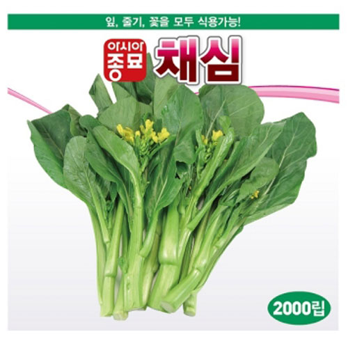 아시아종묘/쌈씨앗종자 채심(2000립,2000립X3,50g)