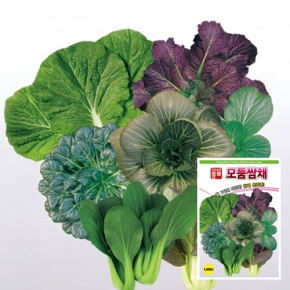 (쌈씨앗종자) 모둠쌈채(1500립)