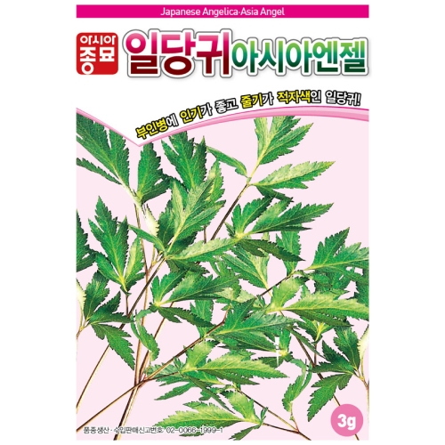 아시아종묘/당귀씨앗종자 일당귀(3g,300g)