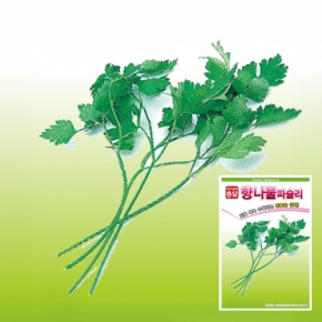 (향나물씨앗종자) 잎파슬리-향나물 (2g,250g)