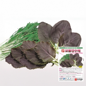 (아시아종묘/모둠경수채씨앗종자) 모둠경수채(2000립)