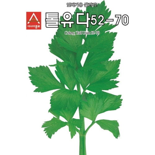 아시아종묘/ 샐러드종자씨앗 셀러리 톨유다52-70(1g,1gx3,50g)