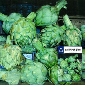 아시아종묘 아티쵸크씨앗종자 아티쵸크.그린글로브(10g,100g)