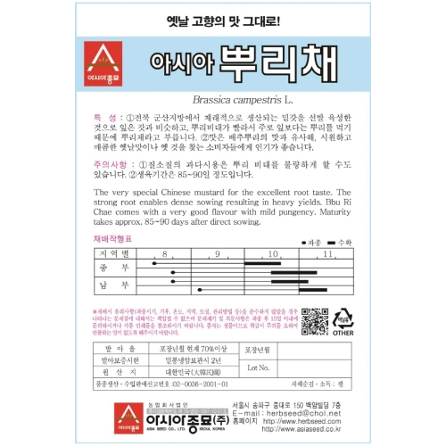 (아시아종묘/민속채소씨앗종자) 아시아뿌리채(7g)