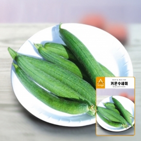 수세미종자씨앗 커몬수세미(30립,1200립,500g)