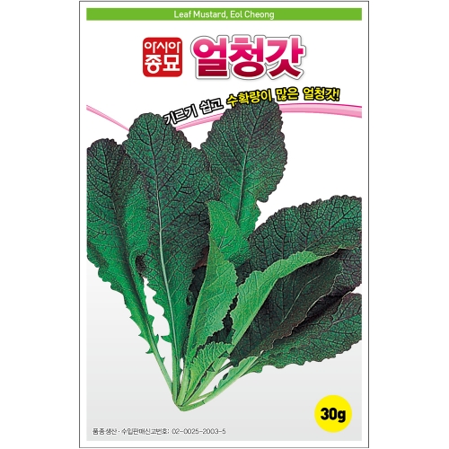 아시아종묘 갓씨앗종자 얼청갓(30g,600g)