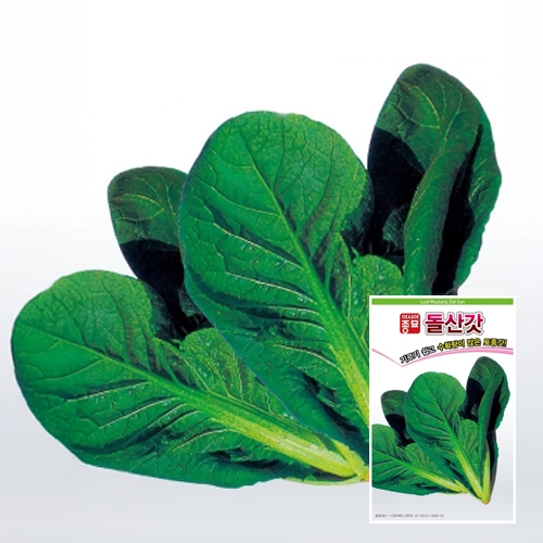 아시아종묘 갓씨앗종자 돌산갓(10g,30g,600g)