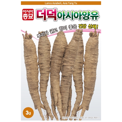 아시아종묘/더덕씨앗종자 더덕·양유(3g,60g,300g)