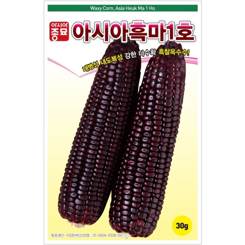 (아시아종묘/옥수수종자씨앗) 흑마1호(30g,700g)