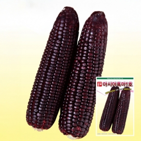 (아시아종묘/옥수수종자씨앗) 흑마1호(30g,700g)