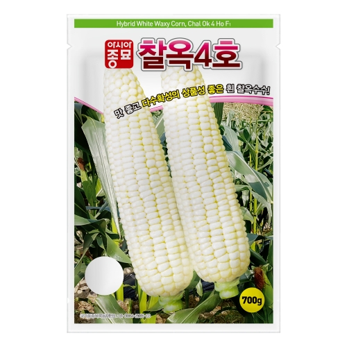 아시아종묘 옥수수씨앗 종자 흰 찰옥수수 찰옥4호 (35g,35gx3개,700g)