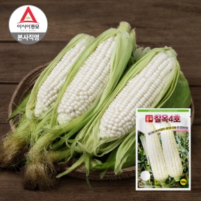 아시아종묘 옥수수씨앗 종자 흰 찰옥수수 찰옥4호 (35g,35gx3개,700g)