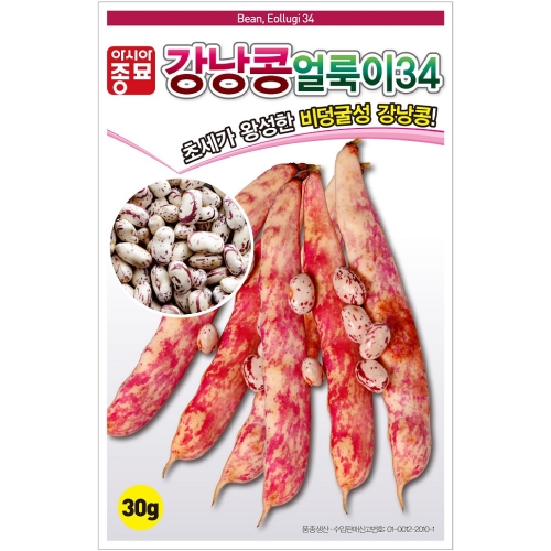 (아시아종묘 강낭콩씨앗) 얼룩이34 강낭콩(30g,600g)